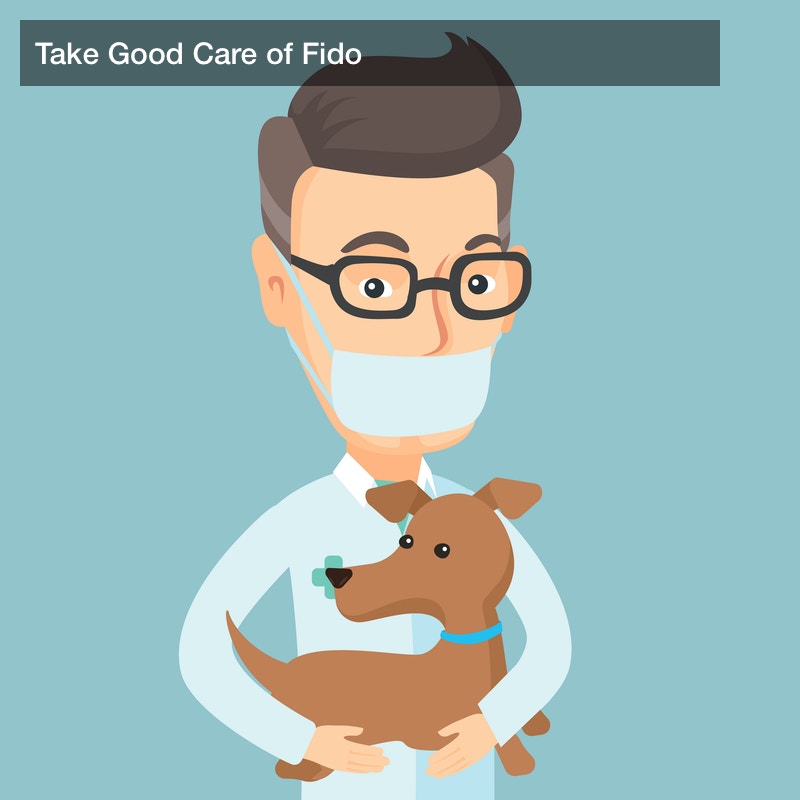 Take Good Care of Fido