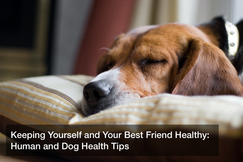 Keeping Yourself and Your Best Friend Healthy: Human and Dog Health Tips