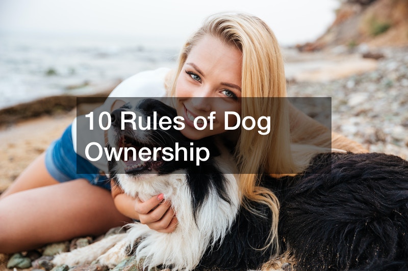 10 Rules of Dog Ownership