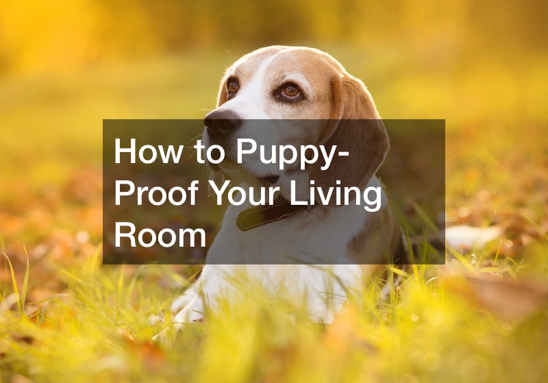 How to Puppy-Proof Your Living Room