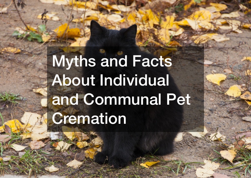 Myths and Facts About Individual and Communal Pet Cremation