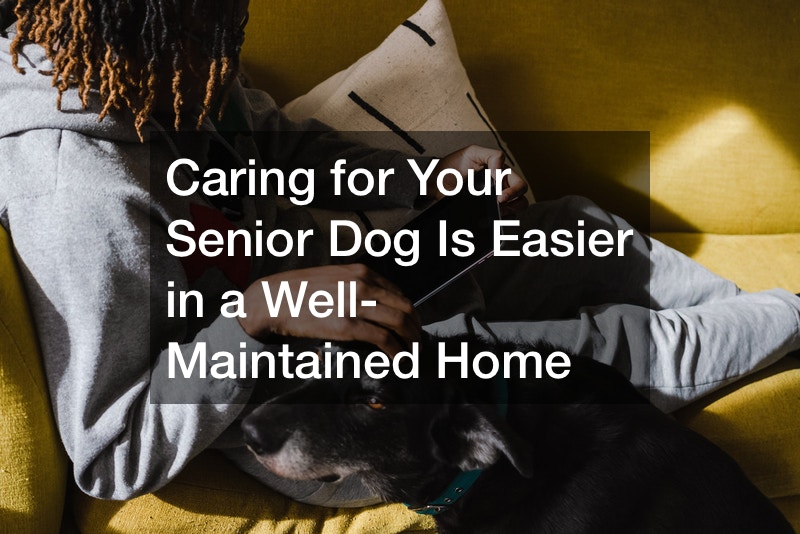 Caring for Your Senior Dog Is Easier in a Well-Maintained Home