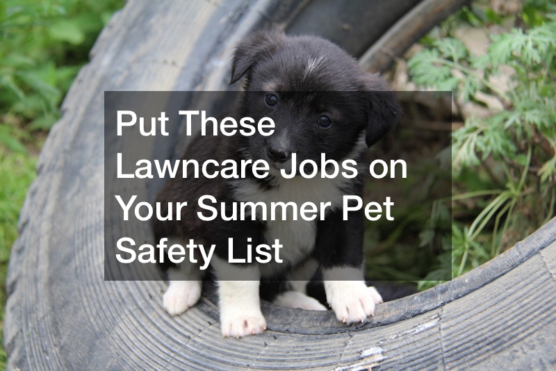 Put These Lawncare Jobs on Your Summer Pet Safety List