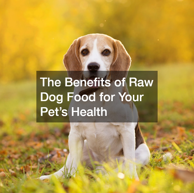 The Benefits of Raw Dog Food for Your Pets Health
