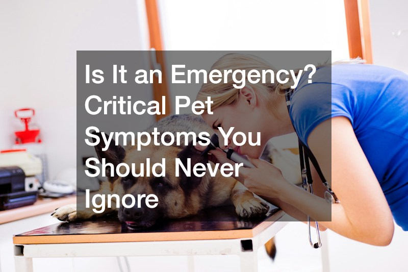 Is It an Emergency? Critical Pet Symptoms You Should Never Ignore